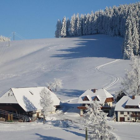 Appartamento Oberengenbachhof Eisenbach  Esterno foto