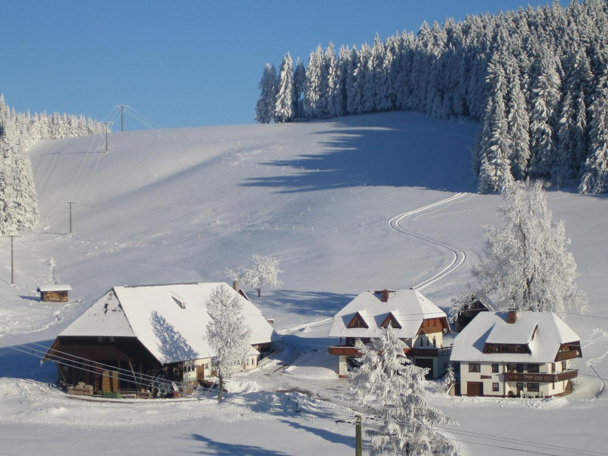 Appartamento Oberengenbachhof Eisenbach  Esterno foto