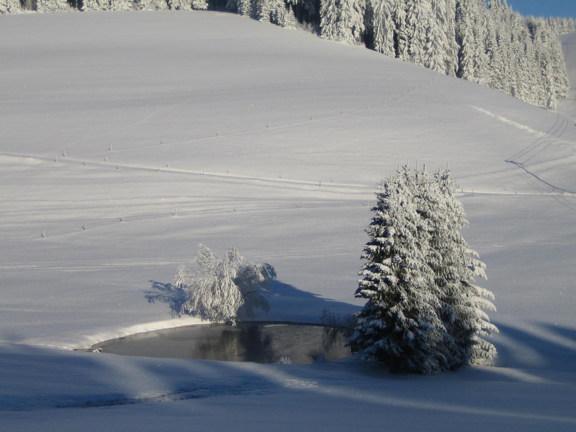 Appartamento Oberengenbachhof Eisenbach  Esterno foto