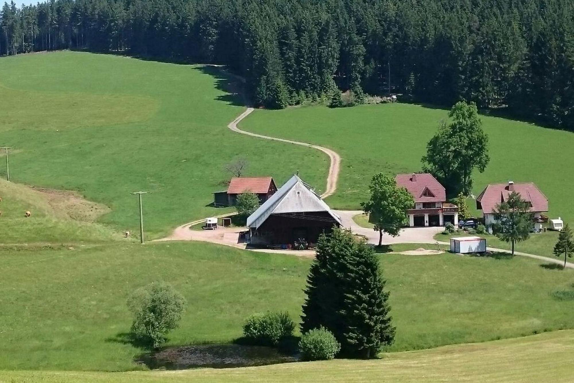 Appartamento Oberengenbachhof Eisenbach  Esterno foto